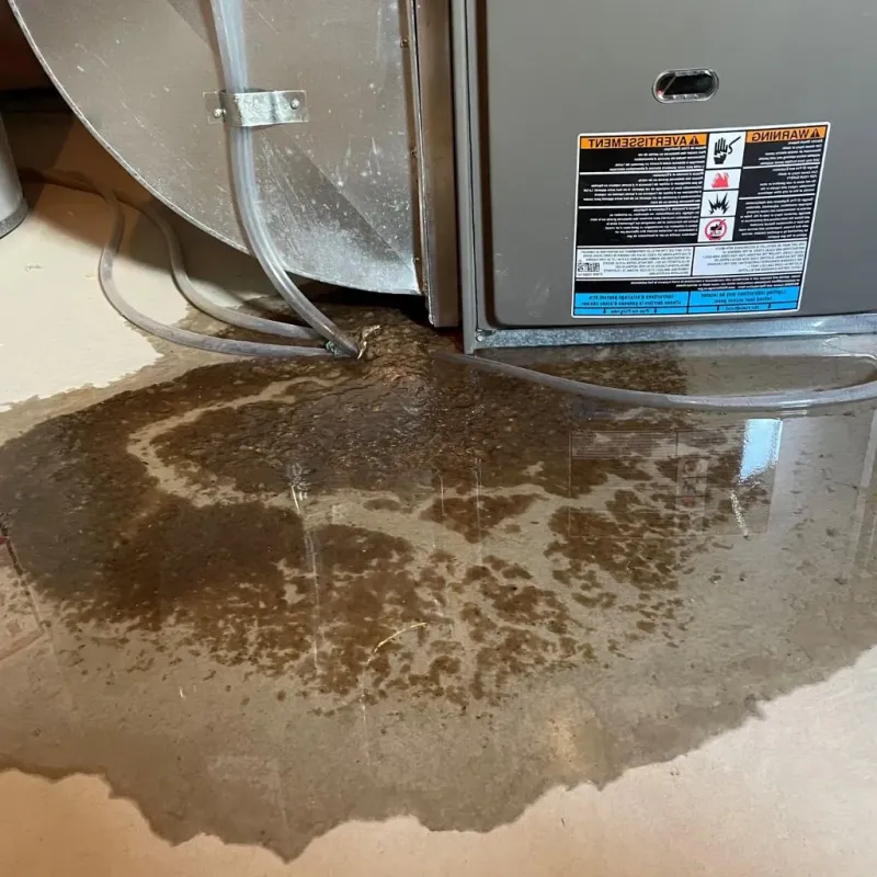 Pipe Burst and Leak Restoration in Southeast Fairbanks Census Area, AK